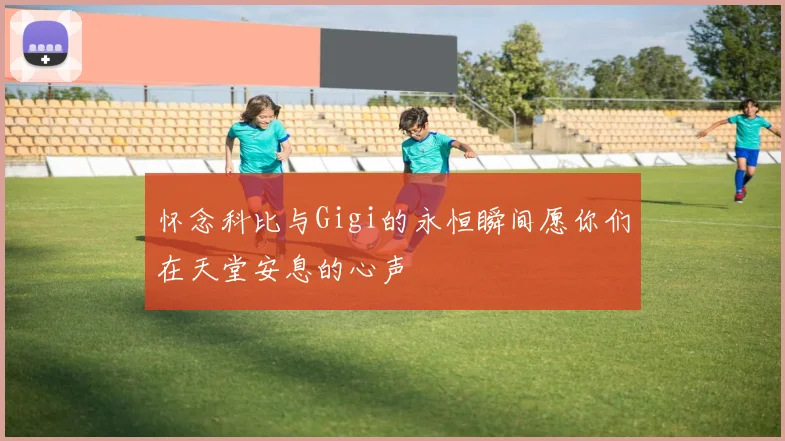 怀念科比与Gigi的永恒瞬间愿你们在天堂安息的心声