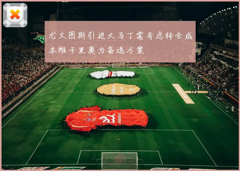 尤文图斯引进大马丁需考虑转会成本维卡里奥为备选方案